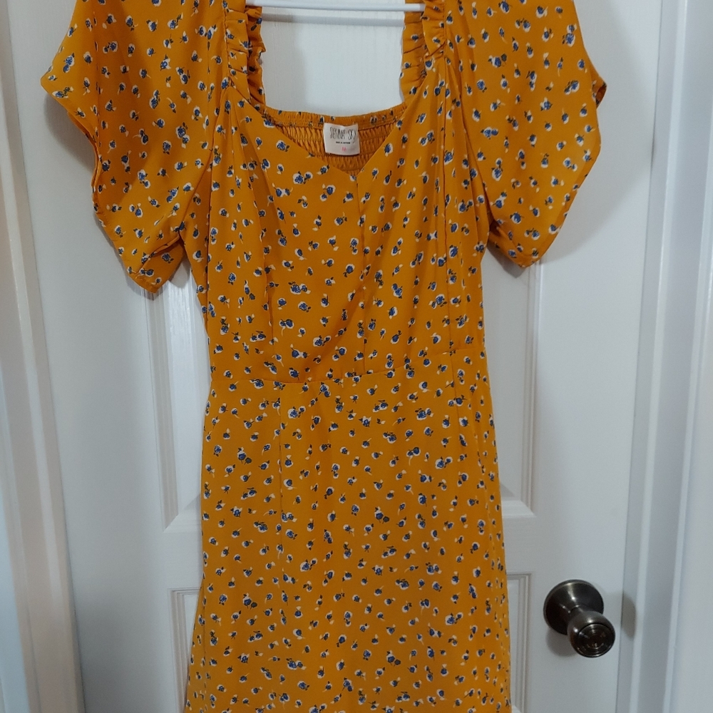 Sienna Sky 1x use knee length